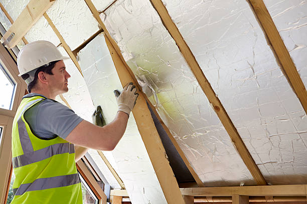 Best Specialized Insulation Services in Bonne Terre, MO