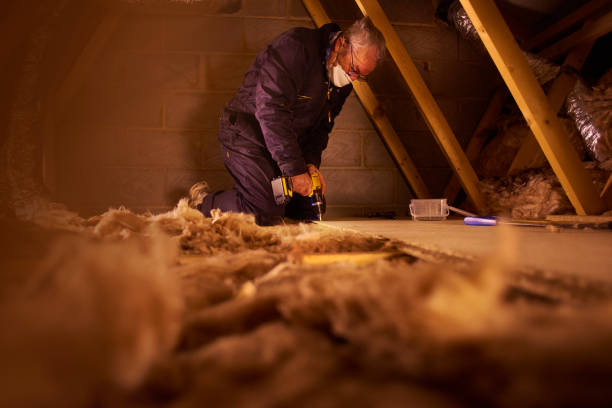 Best Eco-Friendly Insulation in Bonne Terre, MO